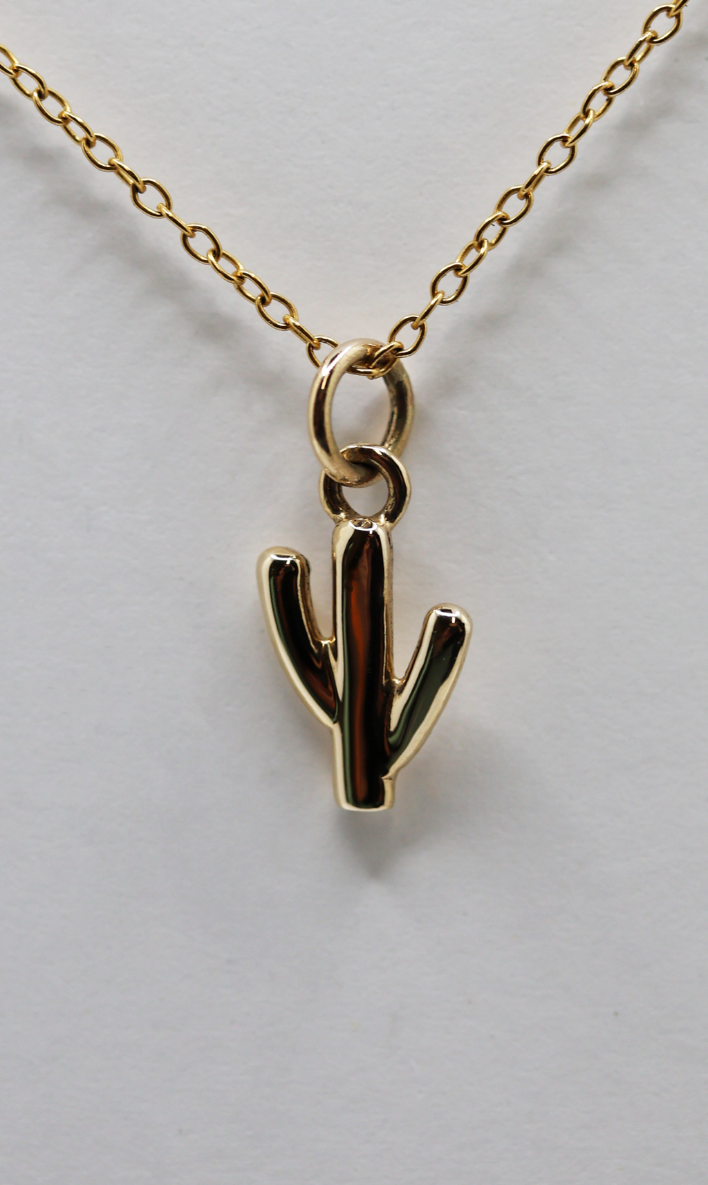 Saguaro Necklace