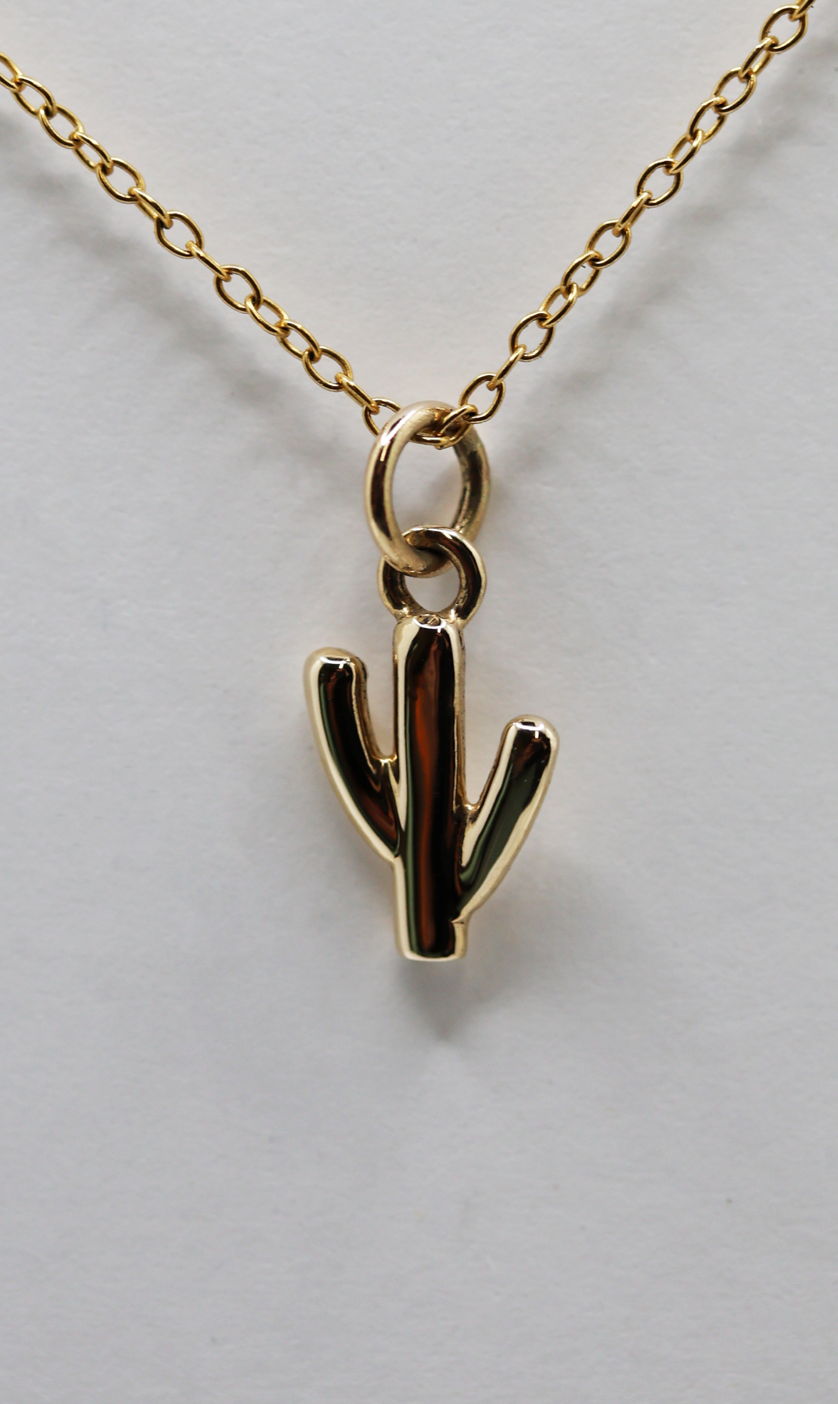 Saguaro Necklace